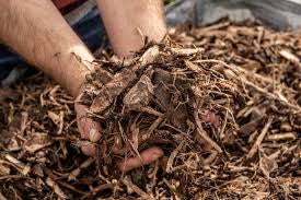 Why use border mulch & which one to buy?