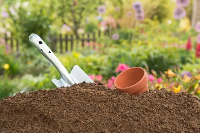 Why Should I Buy High Quality Soil?