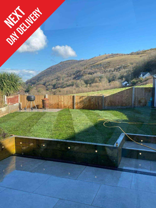 Watmore’s ShadeMaster Lawn Turf Per Square Metre