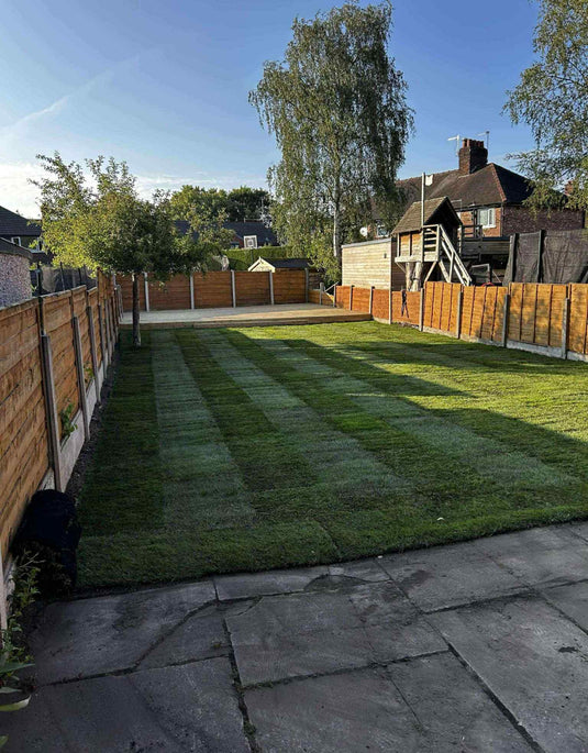 Watmore’s ShadeMaster Lawn Turf Per Square Metre
