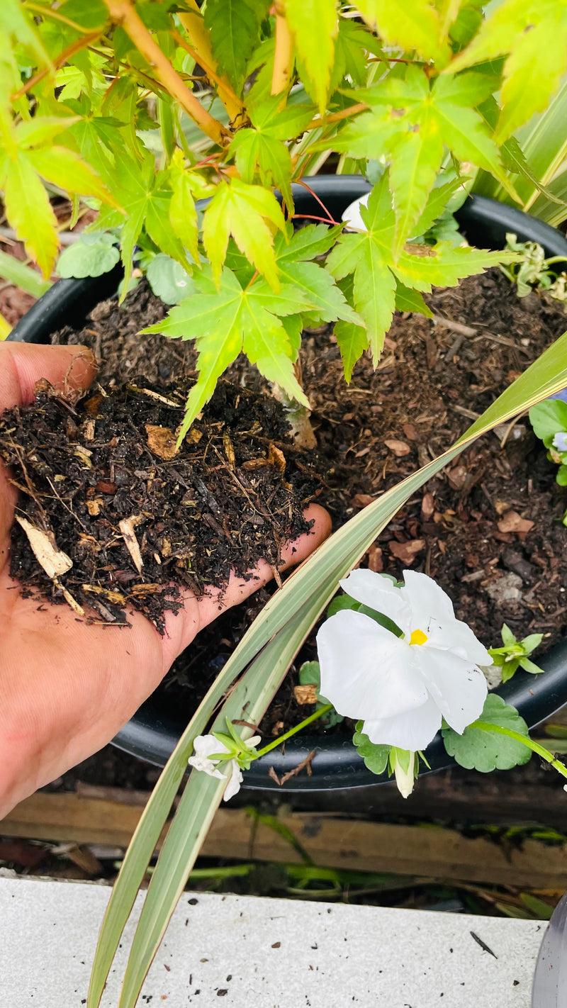 Load image into Gallery viewer, Composted Bark Fines ProBorder Mulch® Soil Improver
