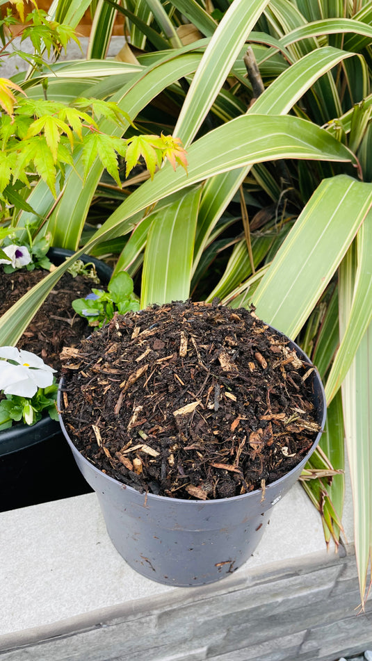 Composted Bark Fines ProBorder Mulch® Soil Improver