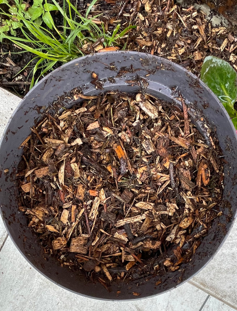 Load image into Gallery viewer, Decorative Tree Bark Mulch 0-25mm Mini Bark
