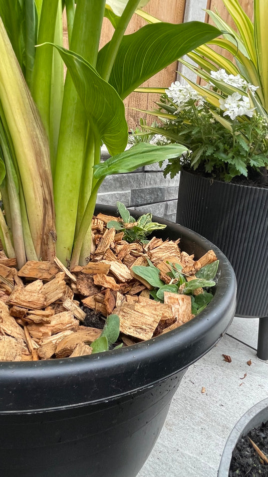 Garden & Play Area Safe Wood Chip Softwood