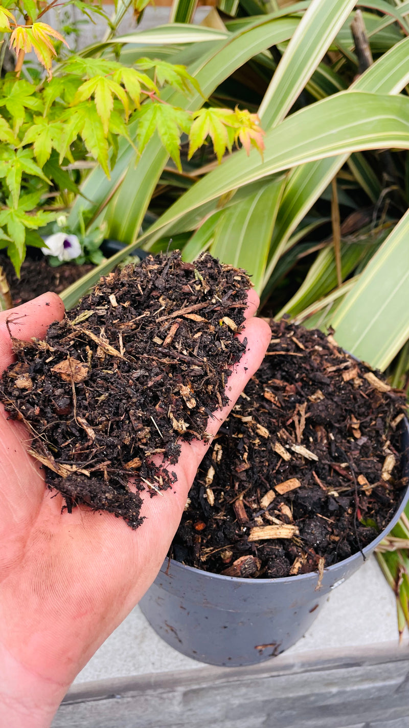 Load image into Gallery viewer, Composted Bark Fines ProBorder Mulch® Soil Improver
