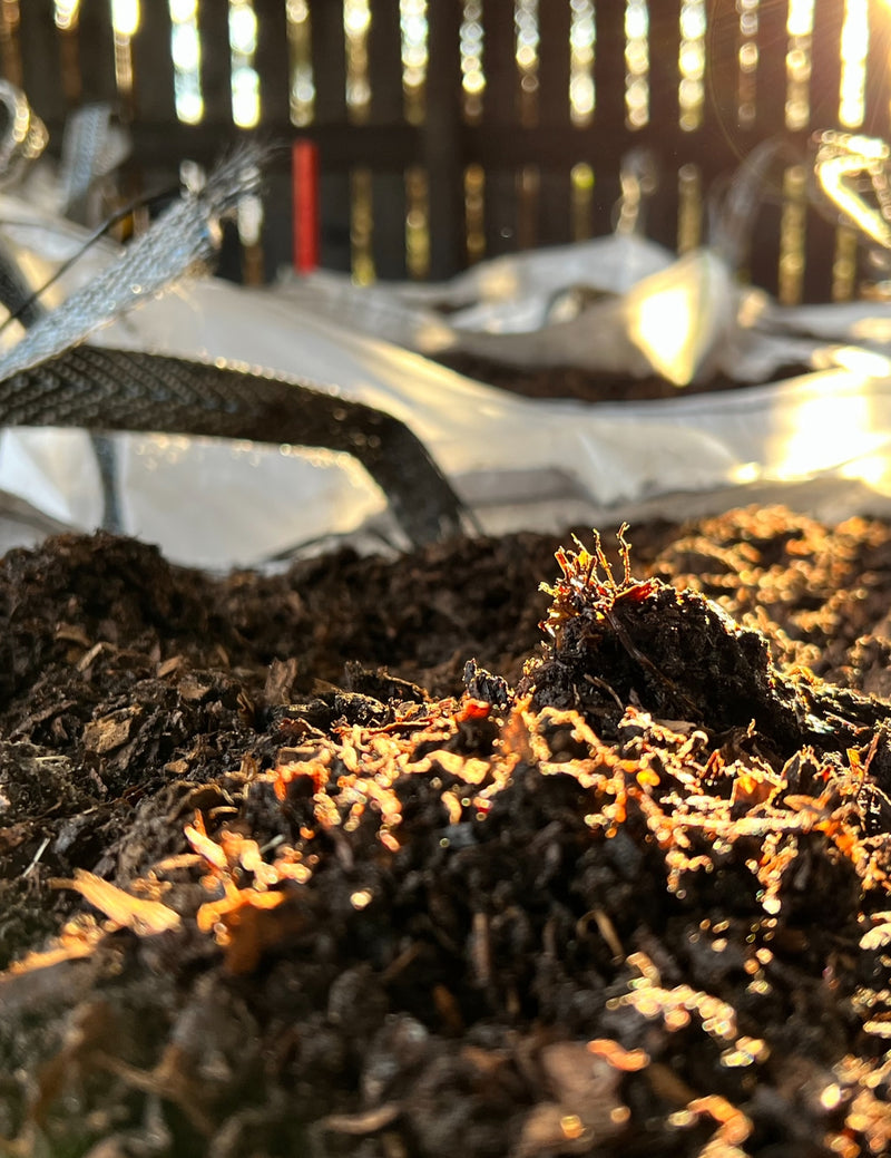 Load image into Gallery viewer, Premium Quality Farm Yard Manure 850 or 1600 Litre Bag
