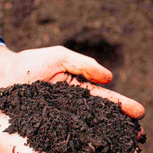 Buy mushroom compost online