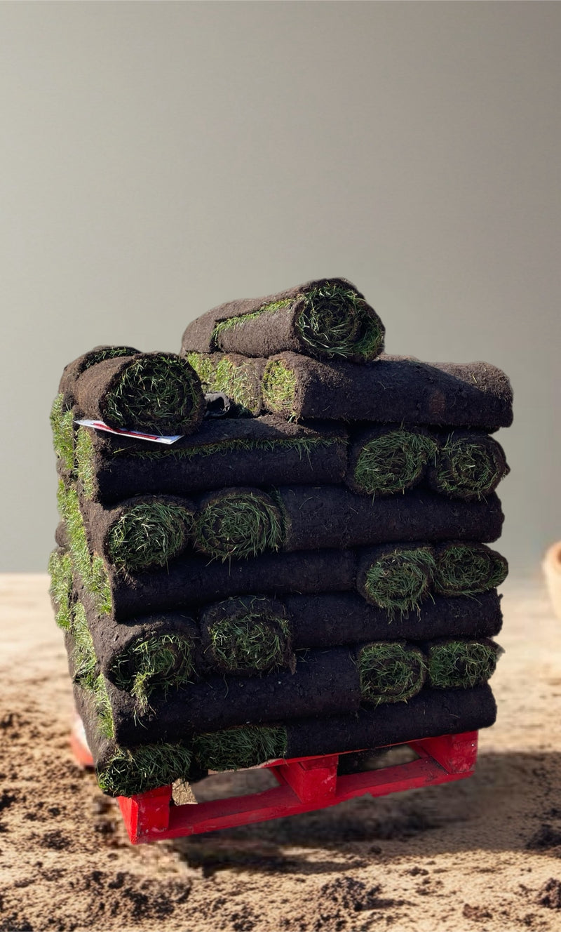 Load image into Gallery viewer, Watmore’s Olympic Sports Turf Per Square Metre
