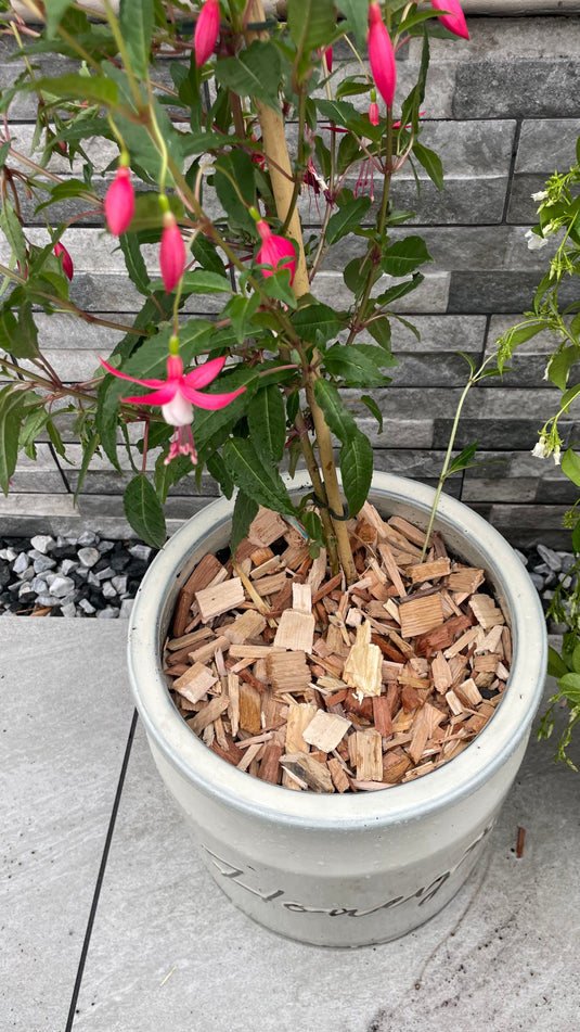 Garden & Play Area Safe Wood Chip Hardwood
