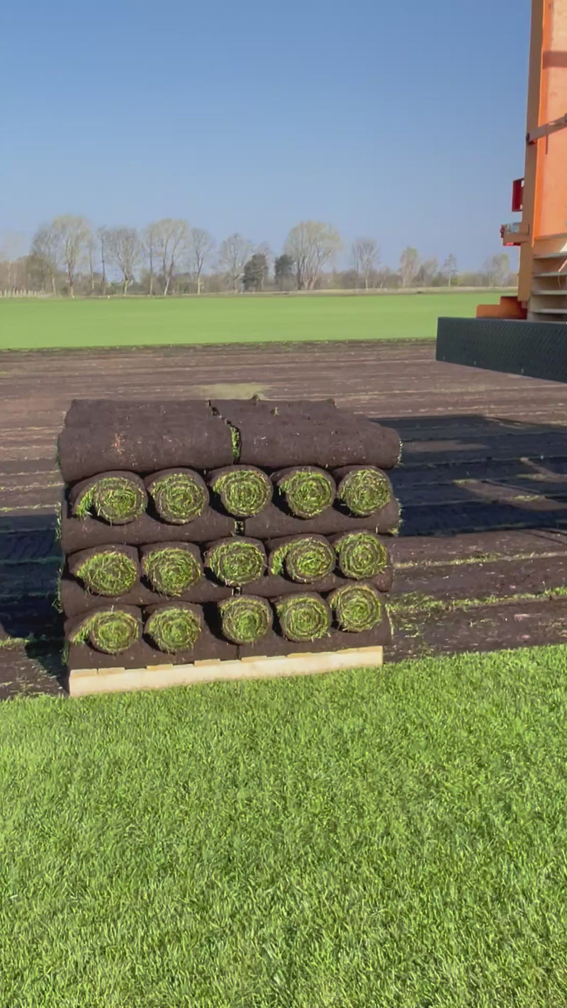 Load and play video in Gallery viewer, Watmore’s Olympic Sports Turf Per Square Metre
