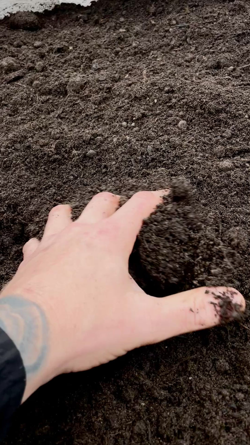 Load and play video in Gallery viewer, Watmore's BlackGold® Border Soil
