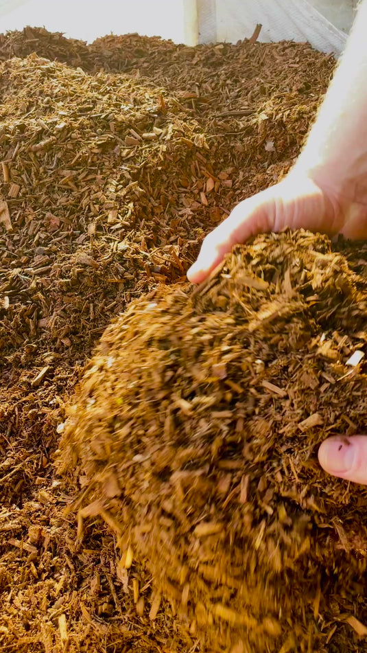 Cedar Gold Decorative Bark Mulch