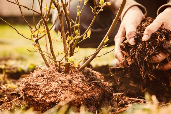 Load image into Gallery viewer, Composted manure for sale
