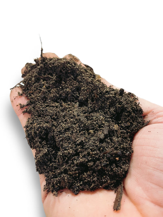 Best compost